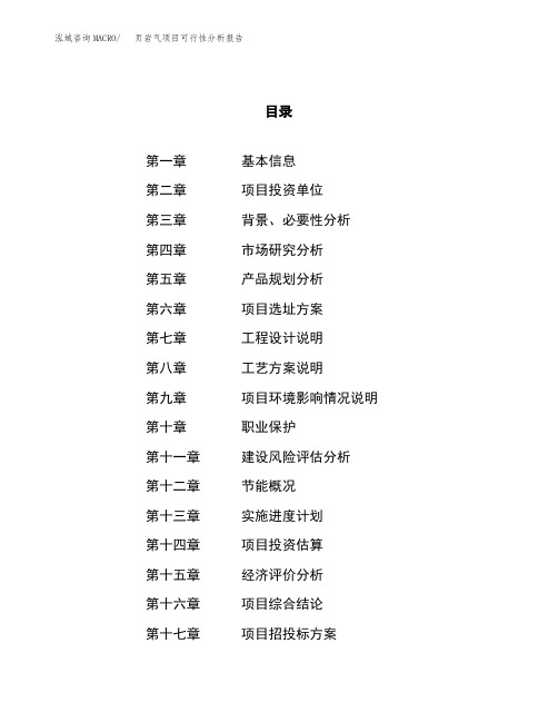 页岩气项目可行性分析报告(立项申请范本) (2)