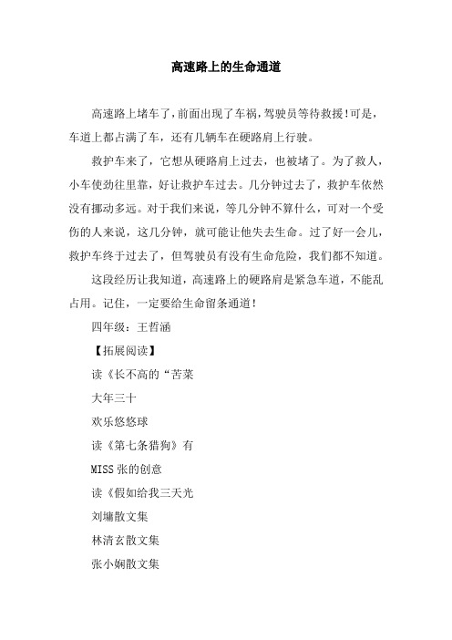 高速路上的生命通道