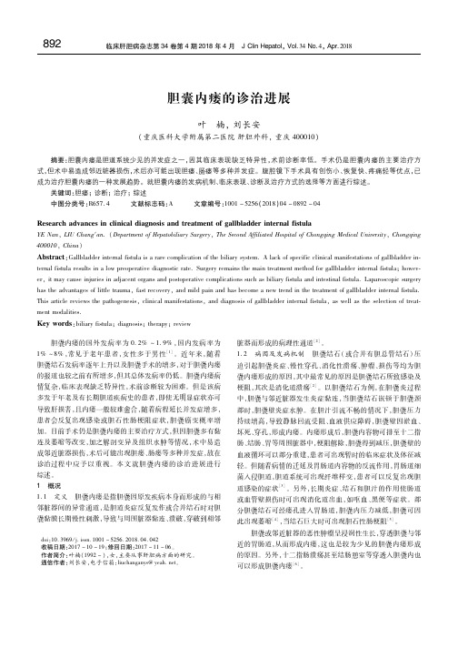 胆囊内瘘的诊治进展 叶楠
