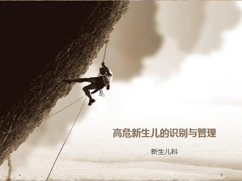 高危儿识别与管理PPT课件