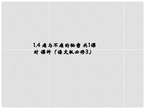 高中语文 1.4 痛与不痛的秘密课件 语文版必修3
