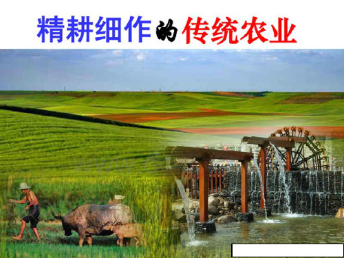 精耕细作的传统农业课件(高一历史)