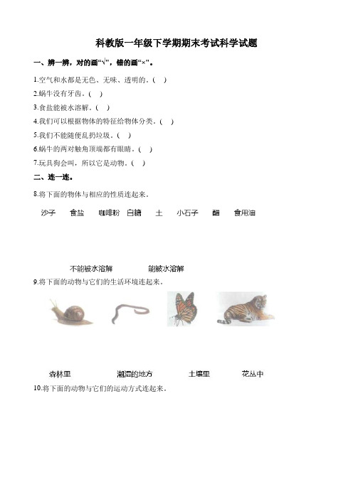 【科教版】一年级下册科学《期末考试试卷》(含答案)