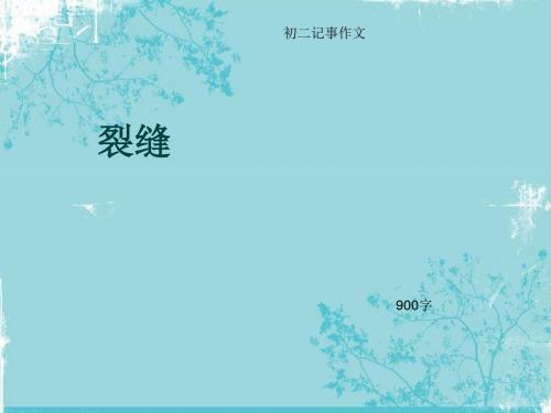 初二记事作文《裂缝》900字(总10页PPT)