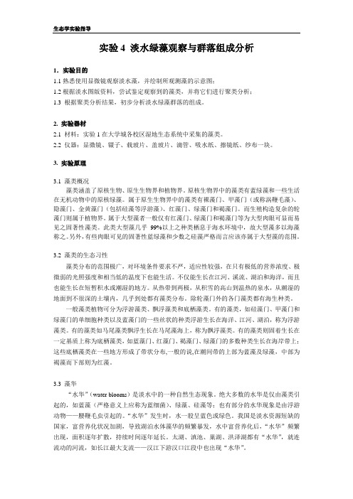 实验4 淡水藻观察与群落结构分析