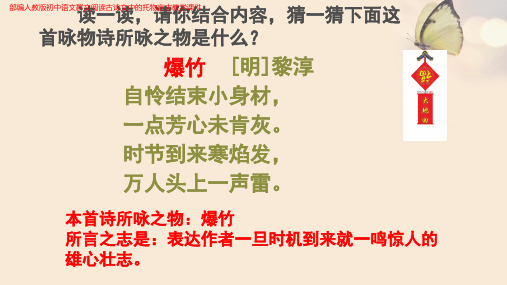 (新)部编人教版初中语文群文阅读古诗文中的托物言志教学课件