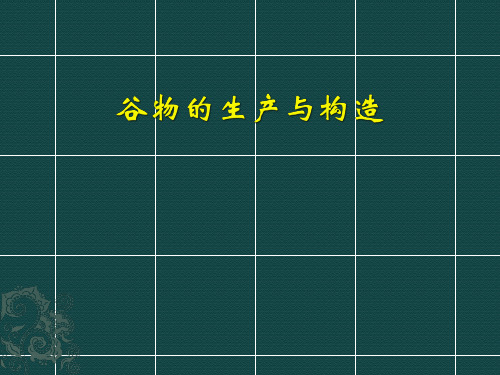 谷物的生产与构造