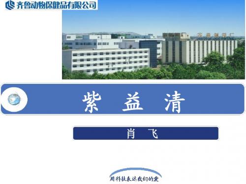 神奇的紫锥菊