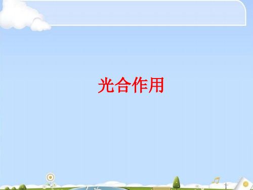 生物必修1人教版5.4光合作用(共36张ppt)