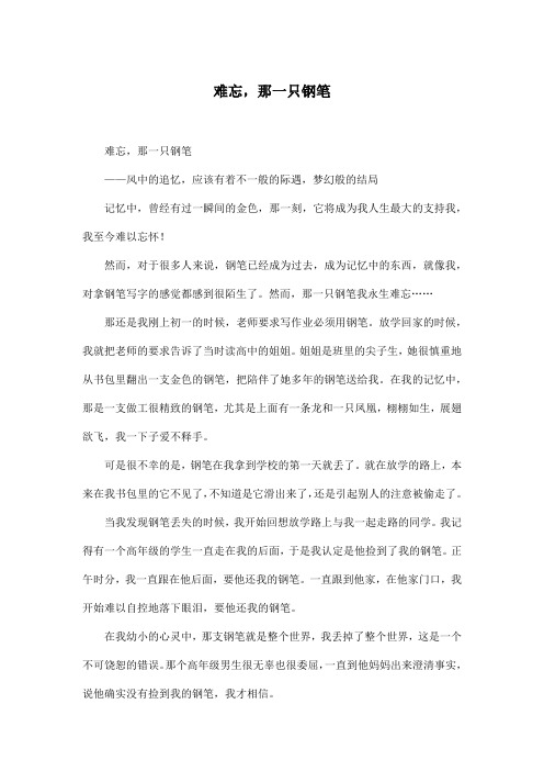 难忘,那一只钢笔_初中初二作文800字