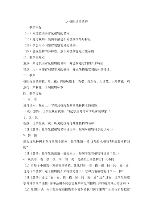 粤教粤科版小学科学一年级下册14 校园里的植物(教案)