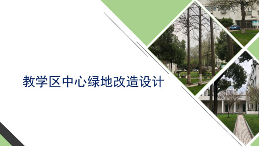教学区中心绿地改造设计 PPT