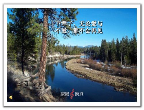 下辈子,无论爱与不爱,都不会再见