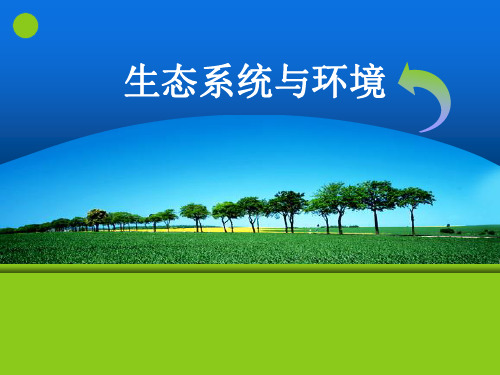 生态系统与环境PPT课件