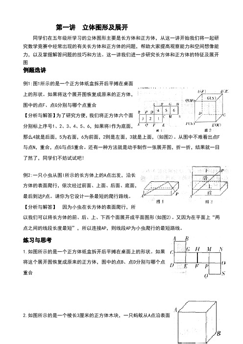 五年级下数学思维训练教材