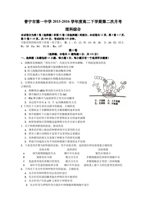 广东普宁市第一中学高二下学期第二次月考理科综合试题word版含答案