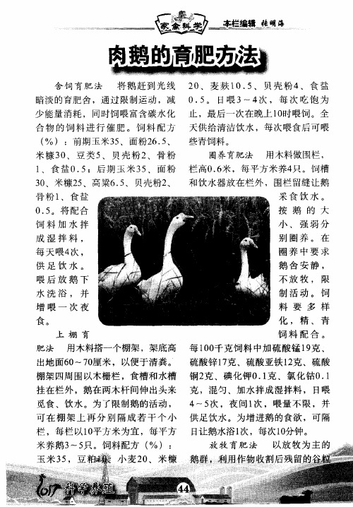 肉鹅的育肥方法