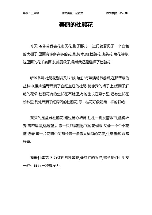 美丽的杜鹃花作文【小学三年级400字】