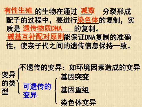 生物：5.1《基因突变和基因重组》课件(新人教版必修2)共19页
