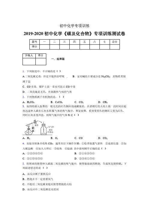 (中考)《碳及化合物》专项训练模拟测试(含答案)  (5)