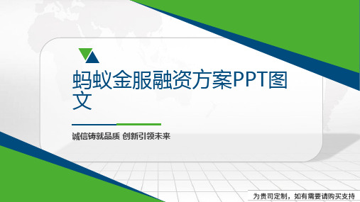 蚂蚁金服融资方案PPT图文