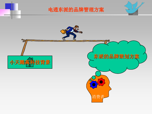 小天鹅品牌管理方案 