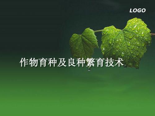 1.自交作物良种繁育