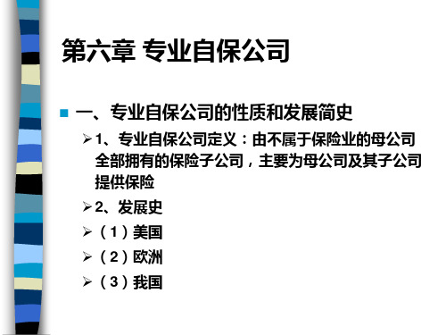 专业自保公司