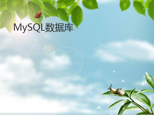 《mysql教程》PPT课件