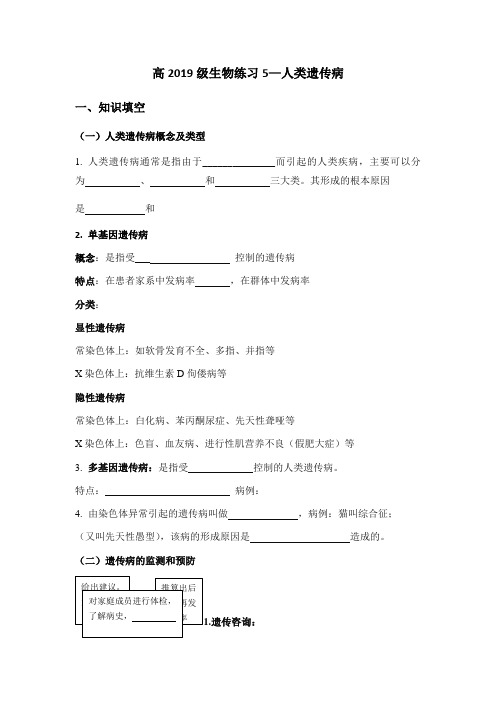 高中生物必修二 遗传与进化-高中必修2-第5章第3节人类遗传病-练习题2