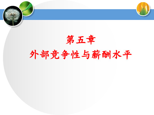 5外部竞争性与薪酬水平