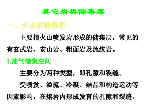 其他岩类储集层