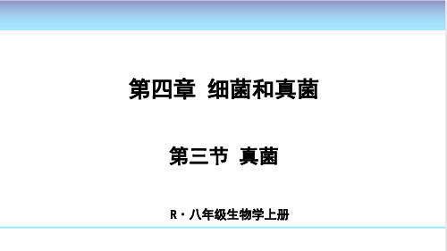 第三节 真菌 (人教版 八年级上册生物)