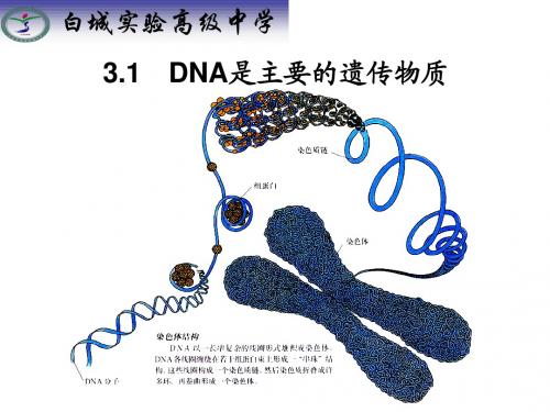3.1DNA是主要的遗传物质