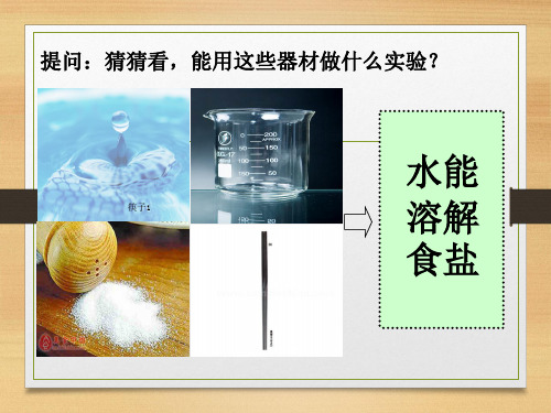 四上科学一杯水能溶解多少克食盐教科版