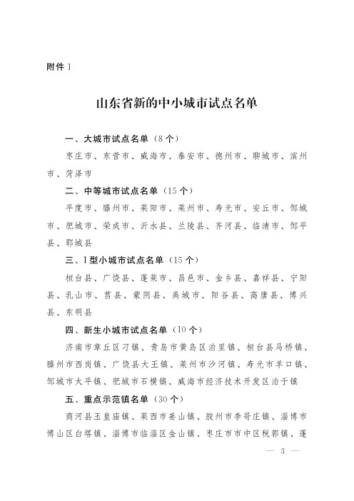 山东省新的中小城市试点名单