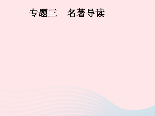安徽省2019年中考语文第1部分专题3名著导读复习课件20190110331
