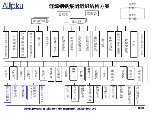 某钢铁集团组织结构方案