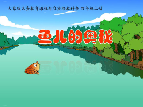 四年级上册科学课件-鱼儿的奥秘大象版
