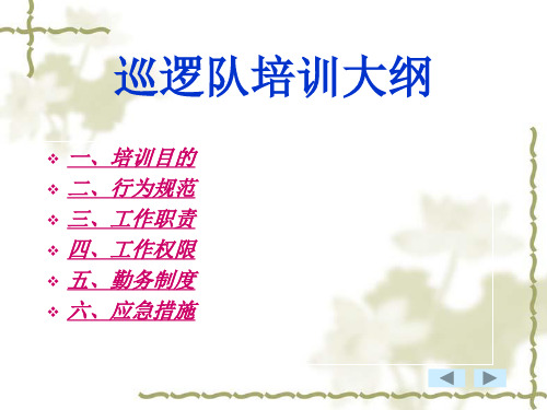 巡逻队培训教程