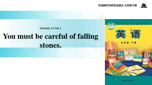 外研社九年级下册英语课件：Module 4 Unit 1 You must be careful o