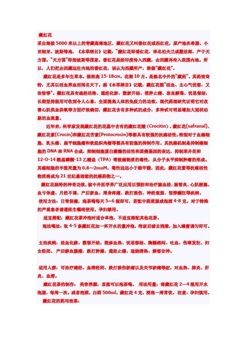 藏红花