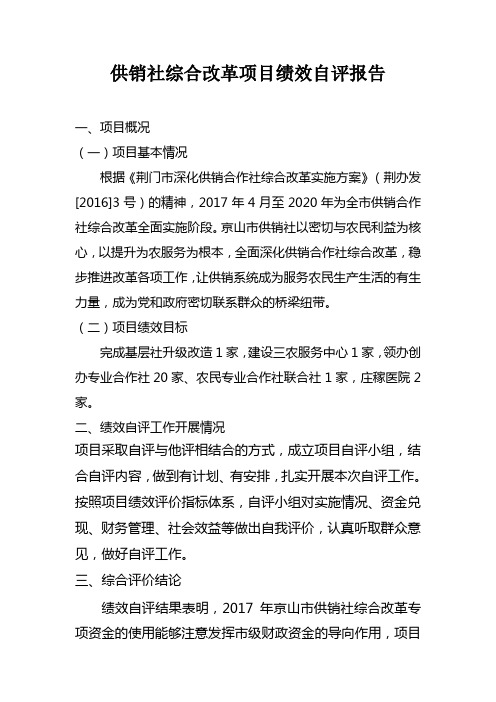 供销社综合改革项目绩效自评报告