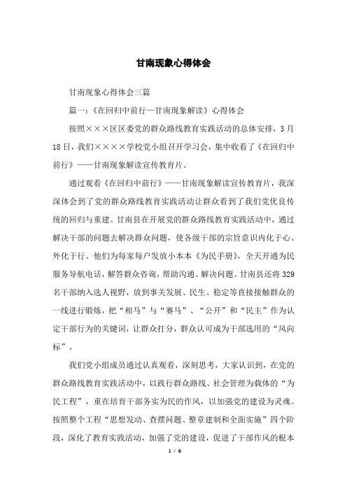 甘南现象心得体会
