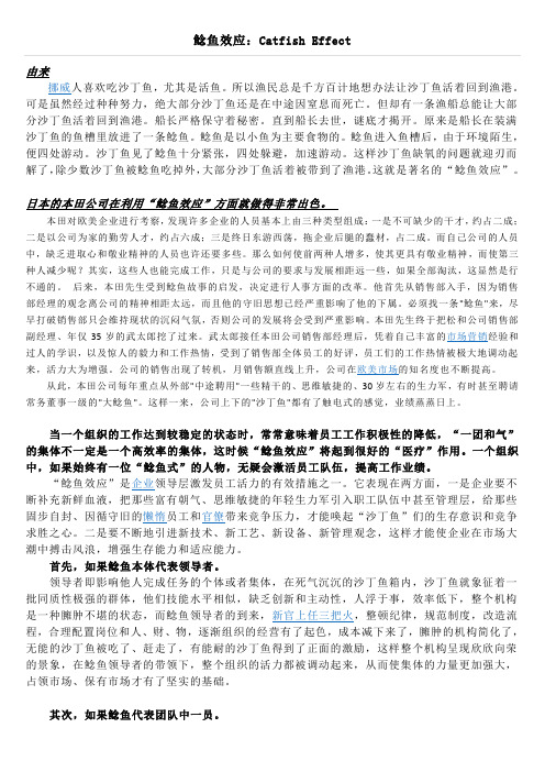 鲶鱼效应的应用