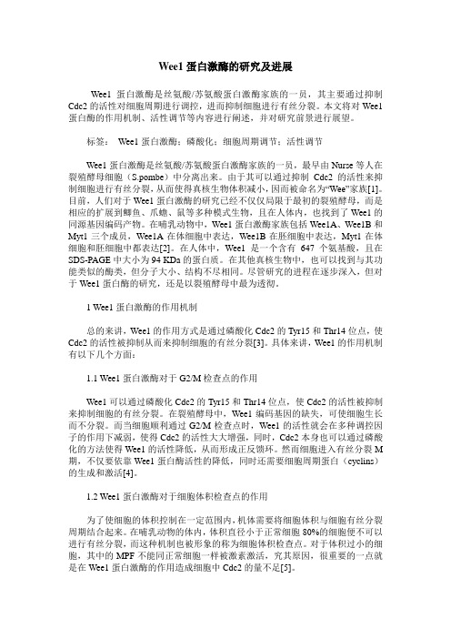 Wee1蛋白激酶的研究及进展