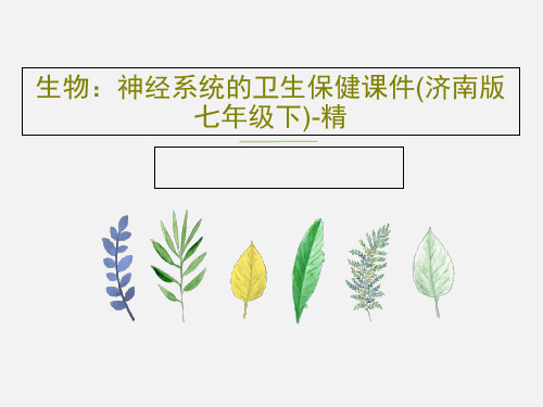 生物：神经系统的卫生保健课件(济南版七年级下)-精PPT16页