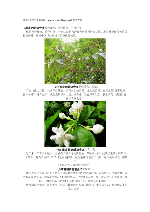 财运发达的花卉和花语介绍