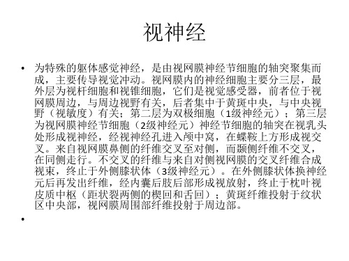 视神经