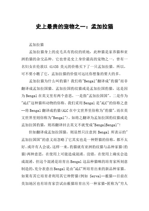 史上最贵的宠物之一：孟加拉猫